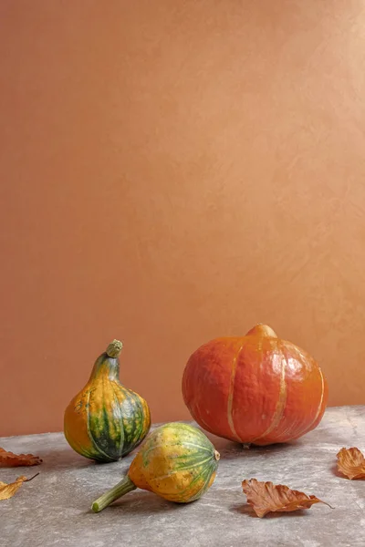 황가을 오렌지 배경으로 가을은 도살아 추수감사절 컨셉트 — 스톡 사진
