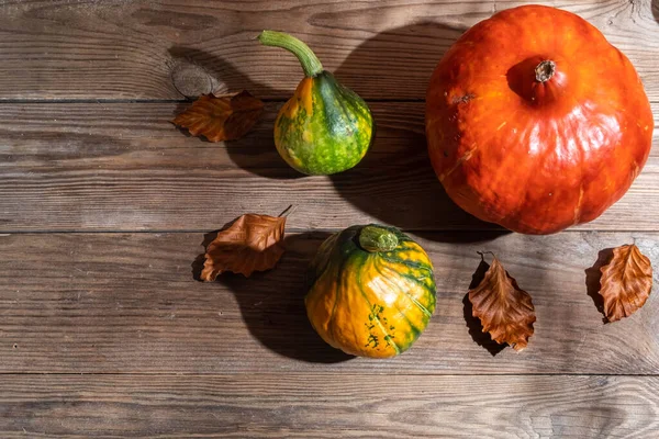 Sfondo Autunno Piccole Zucche Foglie Caduta Tavolo Legno Concetto Del — Foto Stock