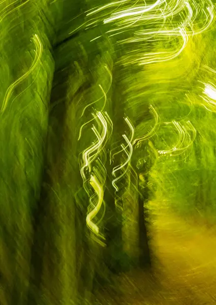 Bela Foto Desfocada Uma Floresta Verão Surrealismo Desfocado — Fotografia de Stock