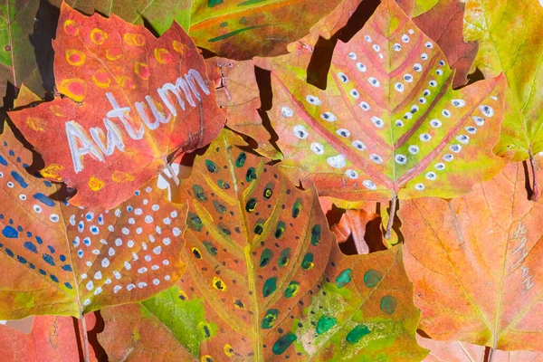 Painted fall leaves on a white background. word Autumn is written on a leaf. Child creativity and zero waste concept