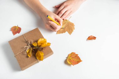 Kadın eli, beyaz arka planda sonbahar yapraklarıyla süslenmiş bir hediye kutusunu akçaağaç yaprağına yazar. Şükran Günü ve sıfır atık konsepti 