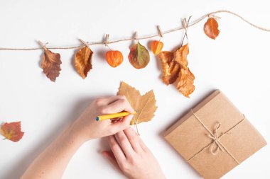 Kadın eli hediye kutusunu beyaz arka planda sonbahar yapraklarıyla süslüyor. Şükran Günü ve sıfır atık konsepti