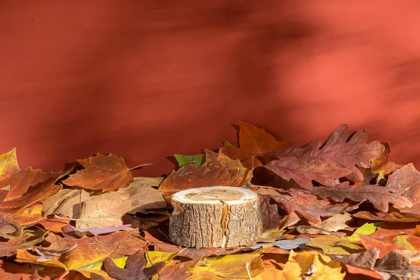 秋の表彰台を持つ木製のテラコッタの背景に葉 製品のプレゼンテーションのためのまだ生活 ハードシャドウ コピースペース 感謝祭のコンセプト — ストック写真