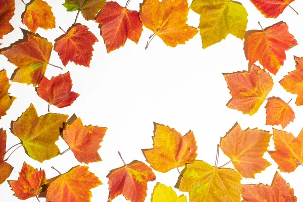 秋は白地に縁があります トップビュー コピースペース — ストック写真