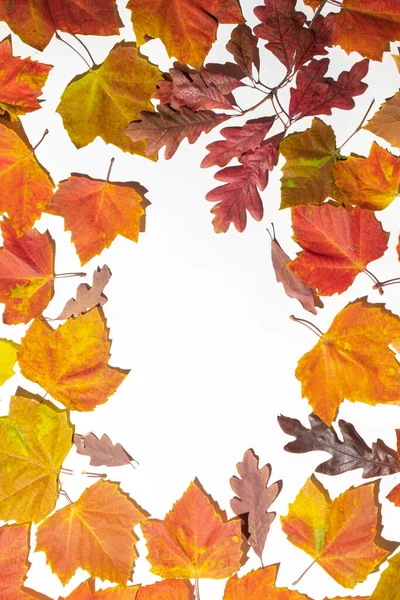 秋は白地に額を残す トップビュー コピースペース 垂直写真 — ストック写真