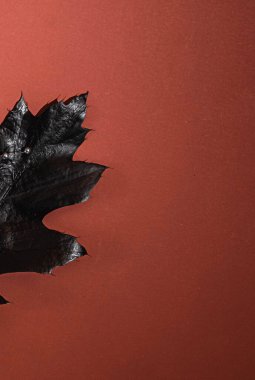 Kahverengi arka planda sonbahar meşe yaprağının bir parçası. Cadılar Bayramı kavramı ve kopyalama alanı