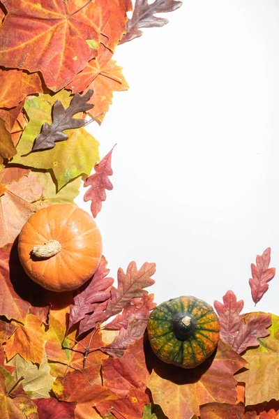 Struttura Autunno Zucche Arancioni Con Foglie Caduta Vista Dall Alto — Foto Stock