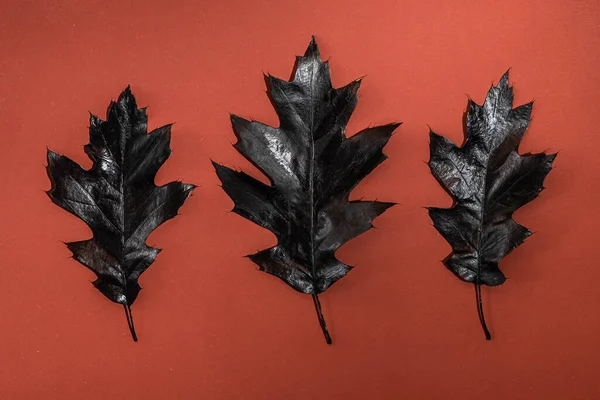 Turuncu Arka Planda Siyah Sonbahar Yaprakları Cadılar Bayramı Konsepti — Stok fotoğraf