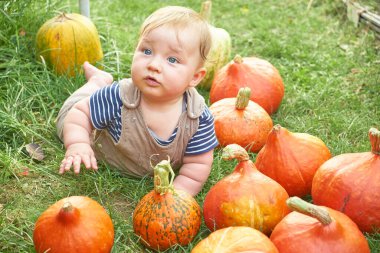 Küçük bir çocuk turuncu balkabaklarıyla çevrili yeşil çimlerin üzerinde yatıyor. Şükran Günü konsepti 