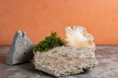 Taş podyum, mantar ve turuncu arka planda yeşil yosun. Ürünlerin sunumu ve doğal kozmetik ürünleri için hala hayat var. Uzayı kopyala, doğal biçim. 