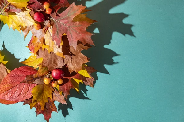 乾燥した花を閉じて 青い背景に花輪を残します 秋の家の装飾と感謝祭の日のコンセプト — ストック写真