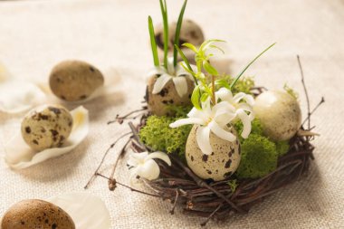Çiçekli ve yumurtalı çiçek aranjmanı. Doğal bir paskalya kompozisyonu. 
