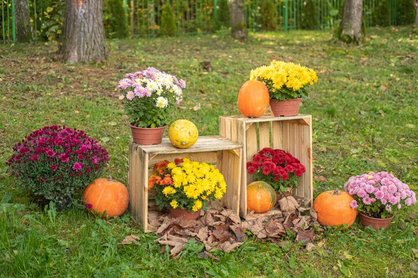 Fondo Pascua Estilo Natural Flores Amarillas Huevos Codorniz Una Mesa —  Fotos de Stock