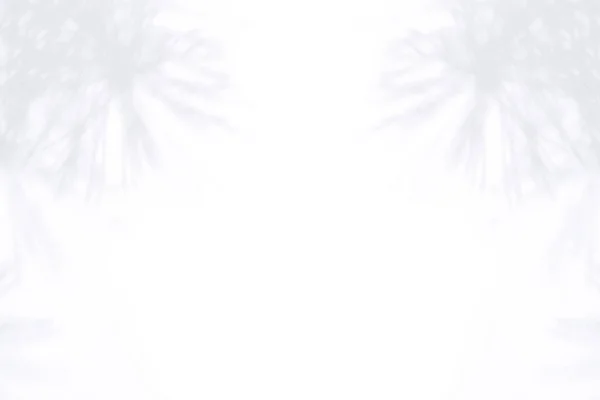 Noel ağacının gölgesi