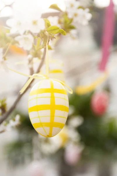 Huevos Pascua Amarillos Cuelgan Una Rama Floreciente Primavera Aire Libre —  Fotos de Stock