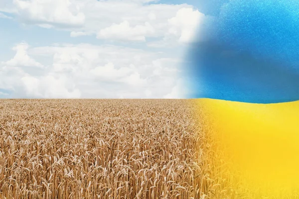 Zachte Focus Abstracte Patriottische Oekraïense Vlag Met Veld Van Gouden — Stockfoto