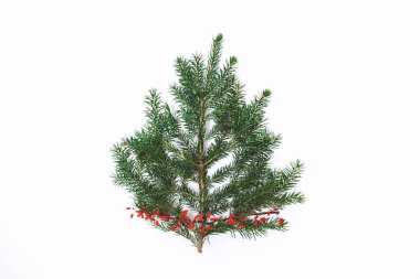 Beyaz arka planda kırmızı böğürtlenlerle süslenmiş yeşil bir ağaç dalı üzerine yumuşak seçici bir odak. Üst Manzara. Noel kutlaması kavramı. Minimalist tarzda. Boşluğu Kopyala