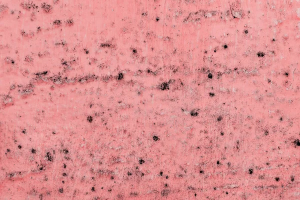 Czarne Plamy Bakterii Grzybiczych Pleśni Czerwonej Ścianie Domu Lub Mieszkaniu — Zdjęcie stockowe