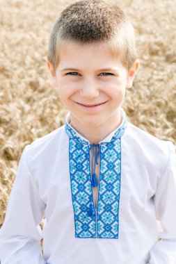 Güneşli bir günde arka planda geleneksel işlemeli Ukrayna gömlekli çocuk portresi. Mavi nakış. Mavi nakış. Çocuk içtenlikle gülümsüyor. Bağımsızlık Günü, Ukrayna Anayasası. Dikey