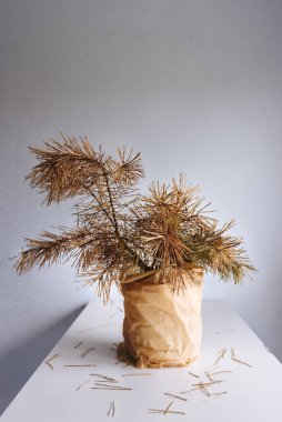 Kraft kağıdında kurumuş Noel ağacı dalları. Plastikten ekolojiyi kurtarmak için fotoğraf konsepti. Masadaki bir odada bağlı bir çam ağacı. Metin için Boşluğu Kopyala.