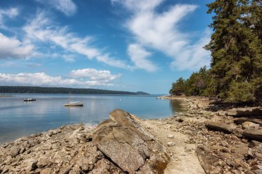 Rocky Shore ve Pasifik Okyanusu 'nun batı kıyısındaki Kanada Doğa Manzarası.