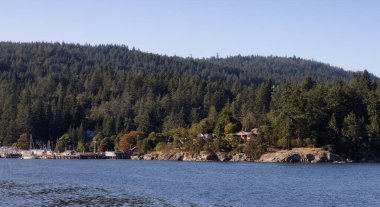 Güneşli bir yaz gününde Fulford Limanı Feribot Terminali.