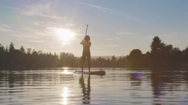 Adventuroso Caucasiano Adulto Mulher Paddling em um Stand up Paddle Board — Vídeo de Stock