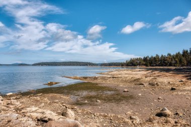 Rocky Shore ve Pasifik Okyanusu 'nun batı kıyısındaki Kanada Doğa Manzarası.