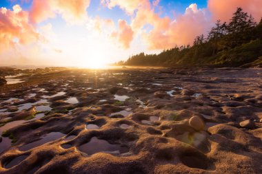Pasifik Okyanusu 'nun batı kıyısındaki Botanik Plajı.