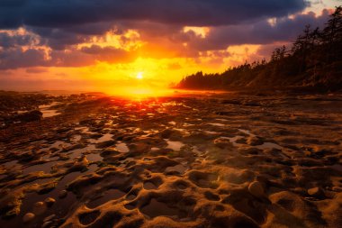 Pasifik Okyanusu 'nun batı kıyısındaki Botanik Plajı.