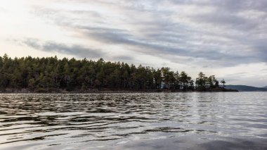 Pasifik Okyanusunun batı kıyısındaki Körfez Adaları.