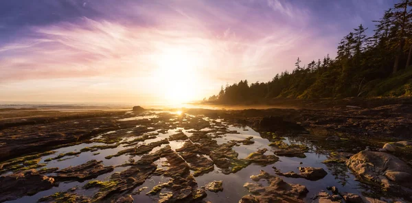 Botanical Beach on the West Coast of Pacific Ocean. — Stock Photo, Image