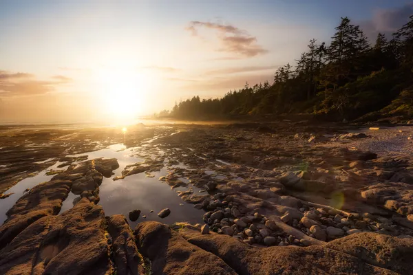 Botanisch strand aan de westkust van de Stille Oceaan. — Stockfoto