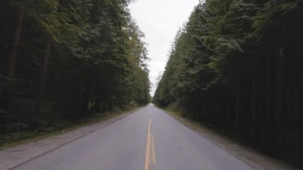 Estrada panorâmica na verde floresta tropical canadense. — Vídeo de Stock