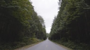 Yeşil Kanada yağmur ormanlarında Manzaralı Yol.
