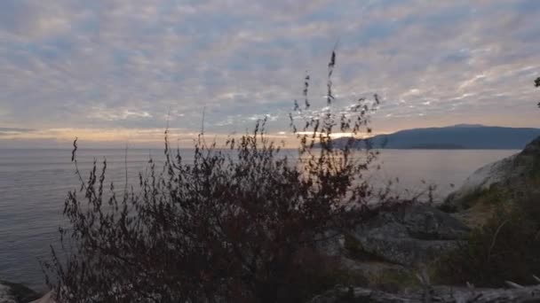 Utsikt över en fyr Park på en klippig kust — Stockvideo