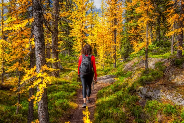 Mulher caucasiana aventurosa Caminhadas em uma trilha — Fotografia de Stock