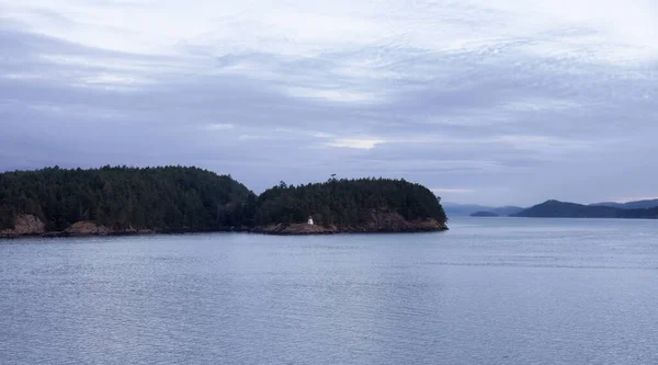 Gulföarna på Stilla havets västkust. — Stockfoto