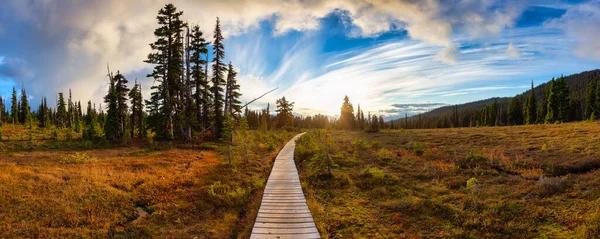 Wandelpad buiten in de Canadese natuur. — Stockfoto