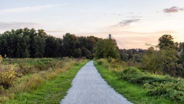 Şehir parkında bir patika. Renkli Yaz Günbatımı.