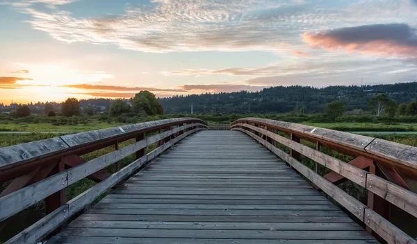 Ponte che attraversa un fiume in un parco cittadino. — Foto Stock