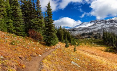 Kanada doğasında doğa yürüyüşü. Sunny Güz Sezonu.