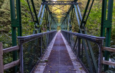 Seymour Gölü yakınlarındaki bir yürüyüş parkurunda nehir kıyısındaki köprüde..