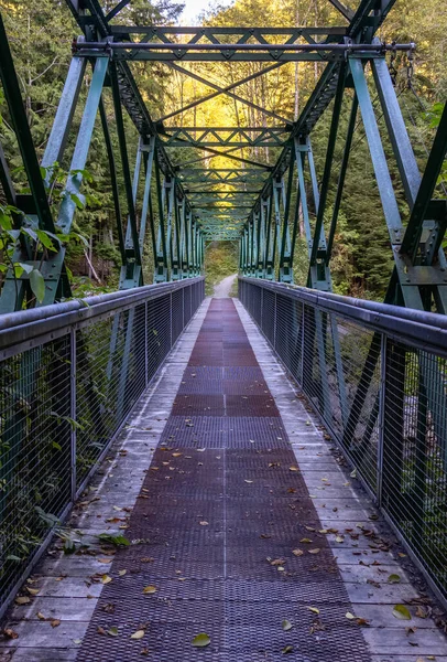 Ponte su un torrente su un sentiero vicino al lago Seymour. — Foto Stock