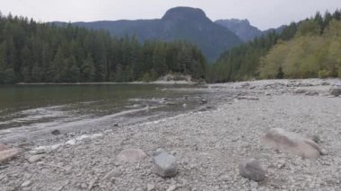 Rocky Sahili Kanada doğasında.