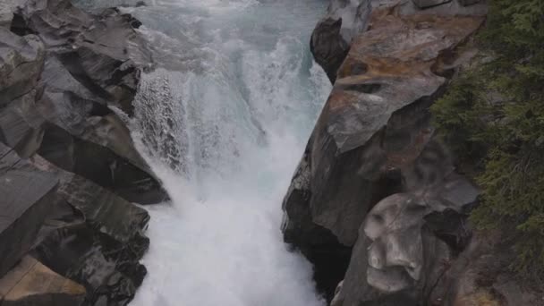 Frisches Wasser rauscht in eine Schlucht. Hintergrund zur kanadischen Natur. — Stockvideo