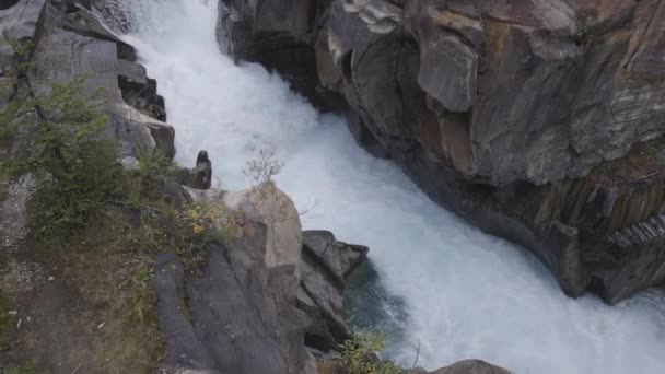 신선 한 물 이 협곡으로 밀려오고 있어. 캐나다 자연의 배경. — 비디오