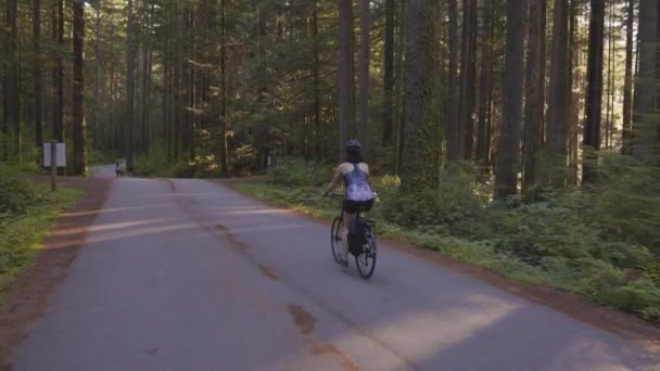 森の中のトレイルで冒険的な女性バイクに乗る — ストック動画