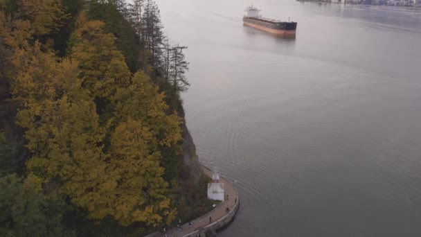 Вид с высоты птичьего полета на парк Стэнли и контейнерный корабль. — стоковое видео