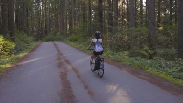 Avventurosa donna in bicicletta a cavallo su un sentiero nella foresta — Video Stock